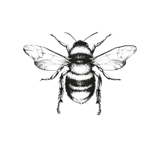 Raw African honey bee illustration