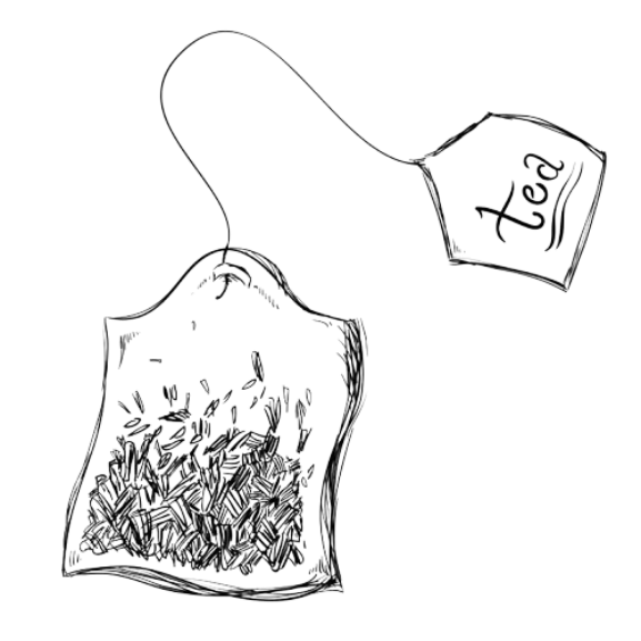 Organic Cape rooibos tea leaf sprig illustration